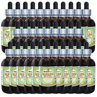 Alfalfa (Medicago Sativa) Glycerite, Organic Dried Leaf Alcohol-Free Liquid Extract (Brand Name: HerbalTerra, Proudly Made in USA) 30x2 fl.oz (30x60 ml)