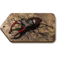 Azeeda 10 x 'Stag Beetle' 66mm x 34mm Gift Tags (TG00001832)