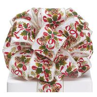 Burton and Burton 9731433 Ribbon, Multicolor