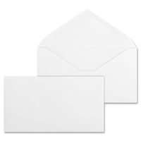 Business Source Business Envelopes Business Envelope (42252)