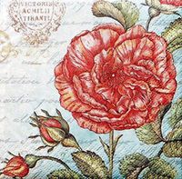 Hoffmaster Set of 36 Paper Cocktail Beverage Napkins ~ French Floral