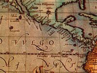 OLD WORLD Gift Wrap 24"x833'Gift Wrap Full Ream Roll (1 unit, 1 pack per unit.)