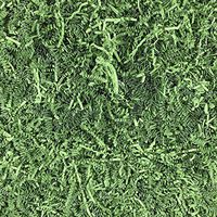 Worlds Crinkle Cut Paper Shred for Packing Filler Gift Wrap Basket Filler Colored Crinkle Paper 1LB Green Tea