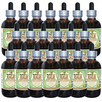 Kale, Red Spiderling (Brassica Oleracea) Dried Leaf Alcohol-Free Liquid Extract (Brand Name: HerbalTerra, Proudly Made in USA) 20x4 oz