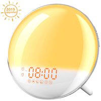 Sunrise Alarm Clock, AUSPICE Wake Up Light with FM Radio/Dual Alarm/7 Nature Sounds & Light Colors/Snooze/20 Brightness, Sleep Aid Lamp Dawn Simulator for Heavy Sleepers/Kids/Teen Girls Boys Bedrooms