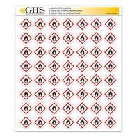 GHS/HazCom 2012: Hazard Class Pictogram Label, Flame Hazard, 1" each (Pack of 1120)