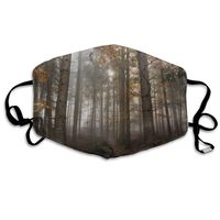 VTWG Dream Forest Washable Reusable Safety Mask, Stylish Polyester Adolescent Couple Dust-Proof Adjustable Earrings