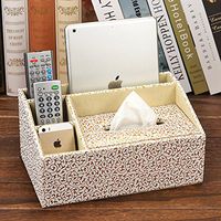 T-ZJHC Multi-Function Tissue Box Desktop Living Room Coffee Table Storage Box Remote Control, Gold Carved