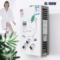 RanBB Electric Tankless Water Heater, 6L 10KW Liquid Propane Gas House Instant Hot Water Heater for Home