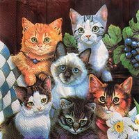 Kitten Paper Napkins, 20 Count