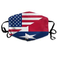 America Texas State Flag Dust Mask,Washable and Reusable Cleaning Gardening Outdoor Activities Warm Windproof Mask