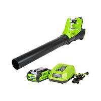 Greenworks 40V Electric Leaf Blower, 430 CFM / 115 MPH, 2.0Ah Battery and Charger Included BA40L210