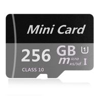 AERGUAE 256GB Micro Card SDXC Class 10 Memory Card with Adapter High Speed Memory Card TF Card