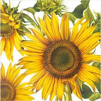 Paper Cocktail Napkins 2 X 20pcs 10"x10" (Unfolded) Big Sunflower