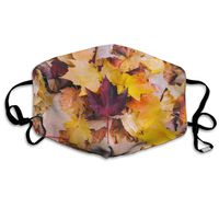 YUIOP Color Autumn Maple Leaves Printed Mask Neutral Mask for Men and Women Polyester Dust-Proof Breathable Mask