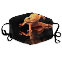Hateone Unisex Unique Mouth Mask - Cute Geckos Nature Reflections Polyester Anti-dust Masks - Fashion Washed Reusable Face Mask for Outdoor Cycling