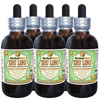 Zhu Ling (Polyporus Umbellatus) Glycerite, Dried Mushroom Alcohol-Free Liquid Extract (Brand Name: HerbalTerra, Proudly Made in USA) 5x2 fl.oz (5x60 ml)