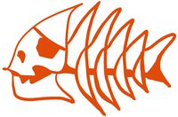 hBARSCI Fish Bones Vinyl Decal - 5 Inches - for Cars, Trucks, Windows, Laptops, Tablets, Outdoor-Grade 2.5mil Thick Vinyl - Orange