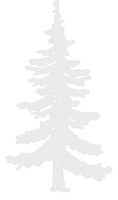 Pine Tree Vinyl Decal - 8 Inches - For Cars, Trucks, Windows, Laptops, Tablets - High Quality, Outdoor-Grade 2.5mil Thick Vinyl - White