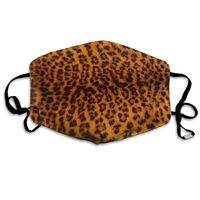 Leopard Skin Print Dust Mask,Washable and Reusable Cleaning Gardening Outdoor Activities Warm Windproof Mask