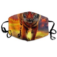Unisex Funny Decor Mouth Mask with Adjustable Strap, Anti Flu Healthy Half Face Mask, Big Tiger King Windproof Masks, Comfortable and Washable for House Work School Office