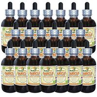 Sanicle (Sanicula Europaea) Tincture, Dried Herb Liquid Extract (Brand Name: HerbalTerra, Proudly Made in USA) 20x4 fl.oz (20x120 ml)