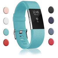 Bands Replacement Compatible for Fitbit Charge 2, Adjustable Wrist Accessories Sport Wristbands for Women&Men (Light Blue, Large)