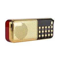 Mugast Mini FM Radio Speaker, Portable Hi-Fi Sound MP3 Player Radio Speaker with 87.5-108MHz FM Frequencies and PW Cut Memory Support MP3/ WMA/OGG/APE/FLAC/WAV, etc