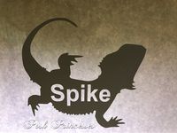 Bearded Dragon Personalized Vinyl Decal Car Window Decal Laptop Sticker, Aquarium Black 3"x2.5"