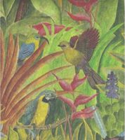 Tropical Birds Tissue Wrapping Paper-20 Sheets