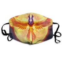 Fire Phoenix Dust Mask,Washable and Reusable Cleaning Gardening Outdoor Activities Warm Windproof Mask