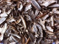 Mushroom Cap Cut Slices Premium Grade 300 Gram