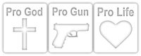 Pro God Pro Gun Pro Life Vinyl Sticker Decal 8"x3" (White)