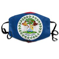 NUNOFOG Flag of Belize Unisex Safety Masks Washable and Reusable Cleaning Gardening Dust Respirator Mouth Masks for Men Women One Size