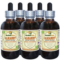 Alkanet (Alkanna Tinctoria) Tincture, Dried Root Liquid Extract (Brand Name: HerbalTerra, Proudly Made in USA) 5x2 fl.oz (5x60 ml)