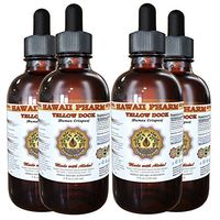 Yellow dock (Rumex crispus) Liquid Extract 4x4 oz