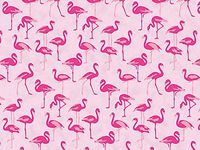 Pink Flamingo Print Gift Grade Tissue Paper Sheets - 20" x 30" Choose Package Amount (24)