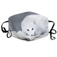 Hateone Unisex Unique Mouth Mask - Cute White Fox Graphics Polyester Anti-dust Masks - Fashion Washed Reusable Face Mask for Outdoor Cycling