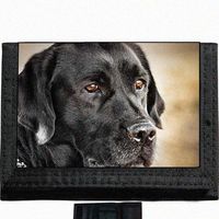 Black Labrador Dog Black TriFold Nylon Wallet Great Gift Idea