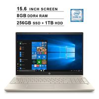 2019 HP Pavilion 15.6 Inch FHD Laptop (8th Gen Inter 4-Core i5-8250U up to 3.4GHz, 8GB DDR4 RAM, 256GB SSD (Boot) + 1TB HDD, Intel UHD Graphics 620, WiFi, Bluetooth, HDMI, Windows 10) (Renewed)