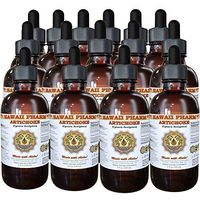 Artichoke Liquid Extract, Organic Artichoke (Cynara scolymus) Tincture 15x4 oz