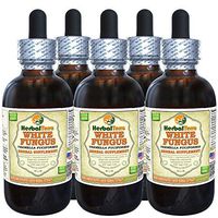 White Fungus (Tremella Fuciformis) Tincture, Organic Dried Mushrooms Liquid Extract (Brand Name: HerbalTerra, Proudly Made in USA) 5x2 fl.oz (5x60 ml)
