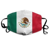 Mexican Flag Dust Mask,Washable and Reusable Cleaning Gardening Outdoor Activities Warm Windproof Mask