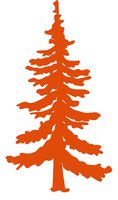hBARSCI Pine Tree Vinyl Decal - 5 Inches - for Cars, Trucks, Windows, Laptops, Tablets, Outdoor-Grade 2.5mil Thick Vinyl - Orange