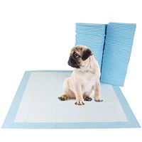 BV Pet Potty Training Pee Pads for Dog and Puppy, 22" x 22", 100-Count