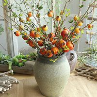 Libobo Artificial Rose Fruit Pomegranate Berries Bouquet Floral Garden Home Decor (Orange)