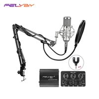 BM-800 Professional Condenser Microphone & Suspension Boom Scissor Arm Stand with XLR Cable and Mounting Clamp & Pop Filter & 48V Phantom Power Supply & Sound Card with Adapter Kit (Silver)