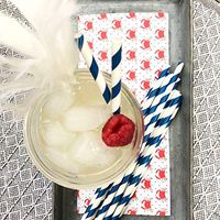 Outside the Box Papers Pink and Navy Blue Chevron and Stripe Paper Straws 7.75 Inches 100 Pack Pink, Navy Blue, White