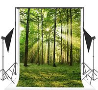 TMOTN 10x10ft Nature Forest Photography Backdrop Vinyl Photo Background Sunshine Grass Scene Studio Props D1568