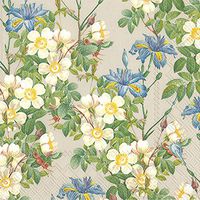 Celebrate the Home Kate 3-Ply Paper Luncheon Napkins, Linen, 20-Count